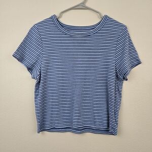 American Eagle Blue Striped Baby Tee